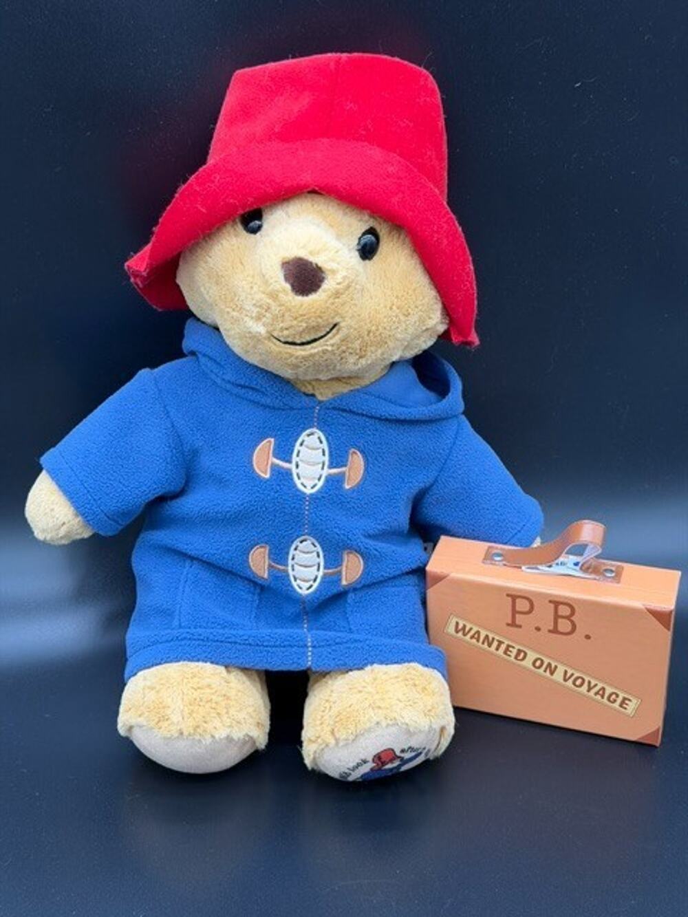 BUILD A BEAR Paddington Bear Jacket Hat Suitcase